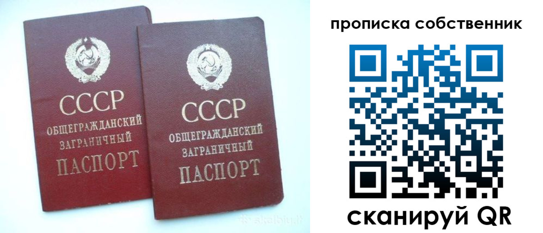 где прописаться в Коряжме